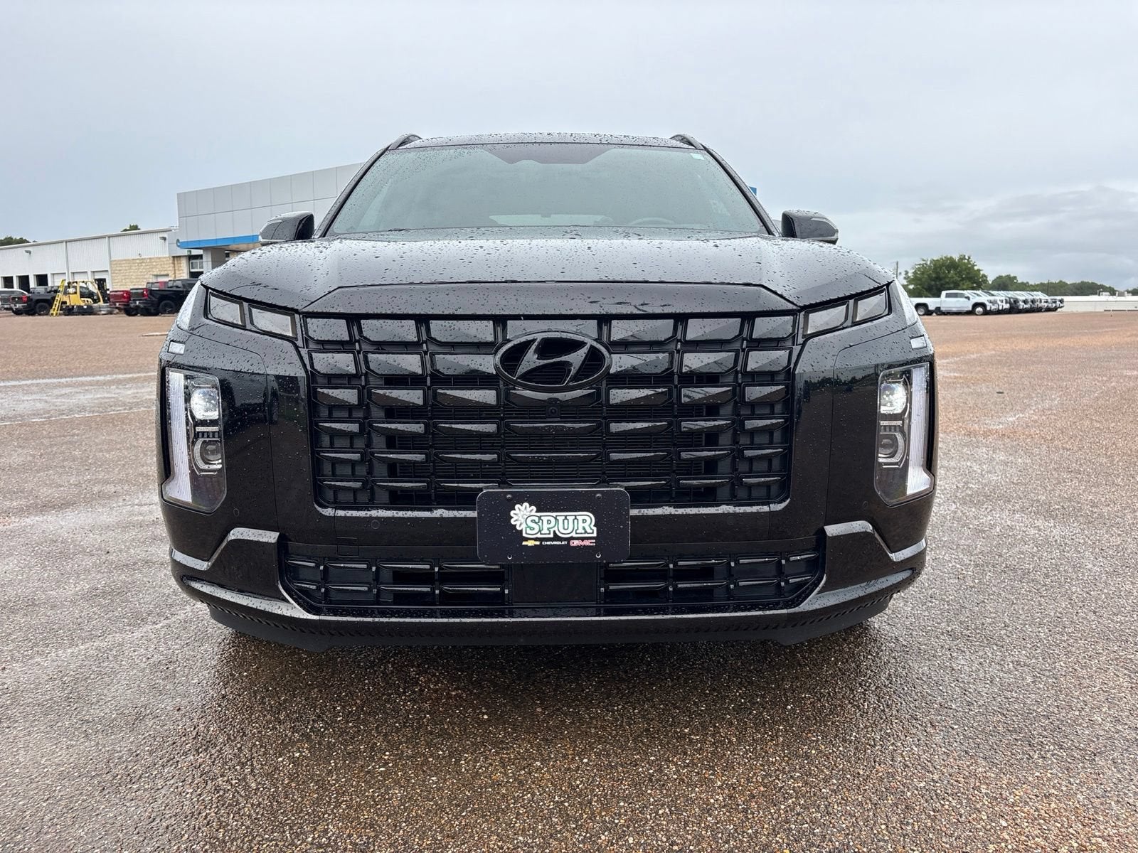 2025 Hyundai Palisade Calligraphy Night Edition