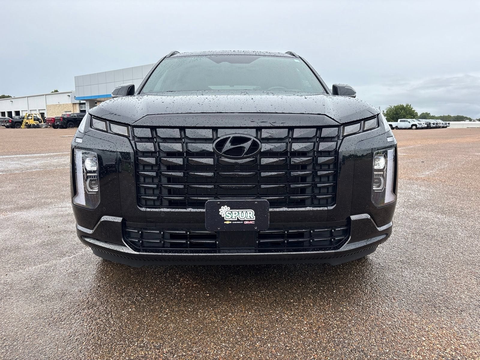 2025 Hyundai Palisade Calligraphy Night Edition