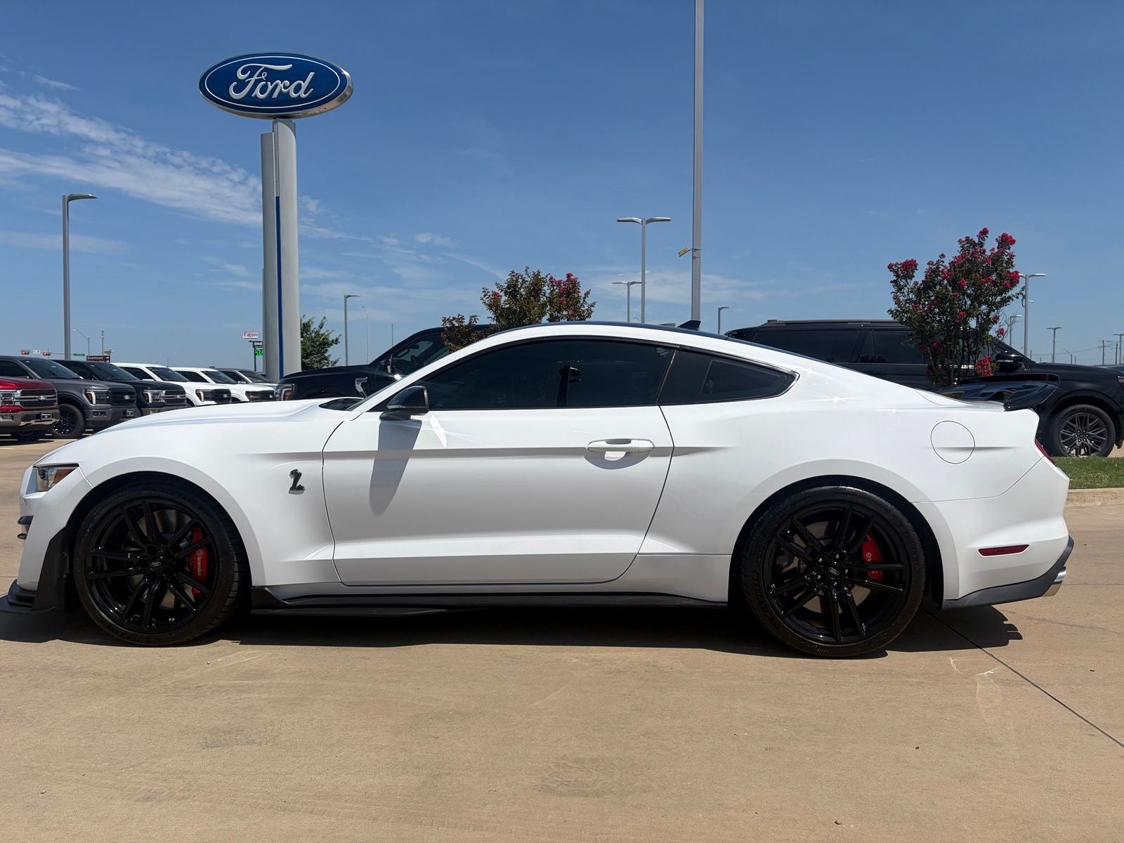 2020 Ford Mustang Shelby GT500