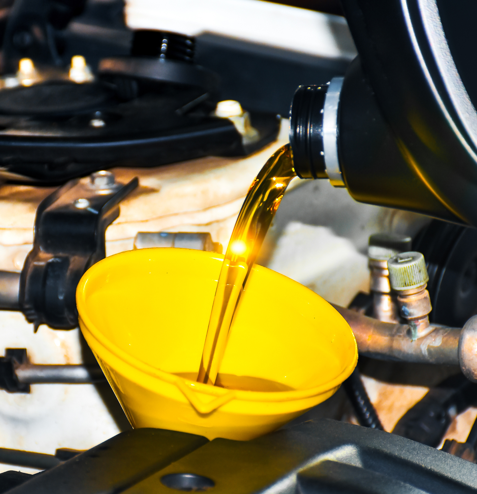 $59.99 - Oil Change!